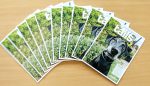 animal magazine dogs and cats