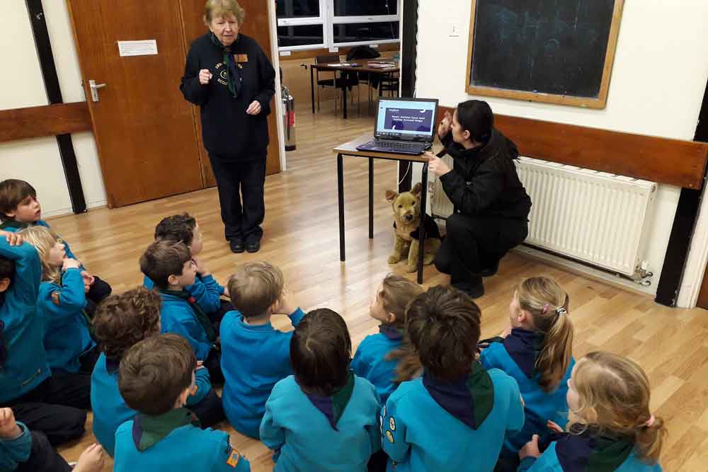 What is an Animal Welfare Officer? Mayhew