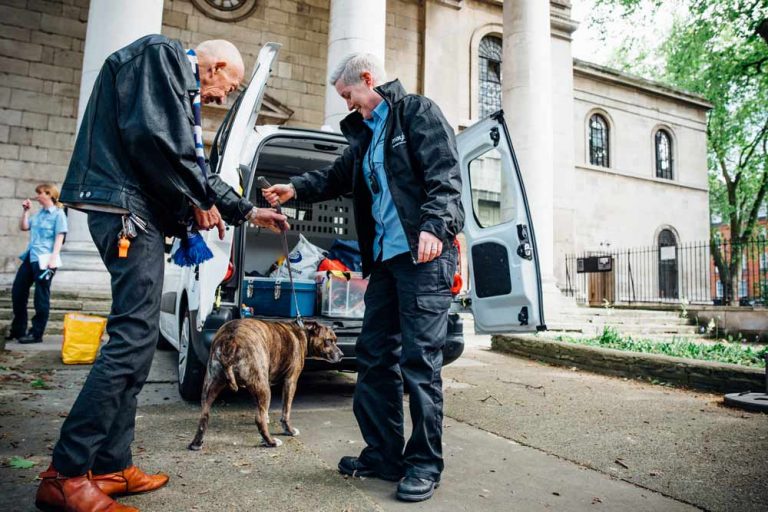 What is an Animal Welfare Officer? Mayhew