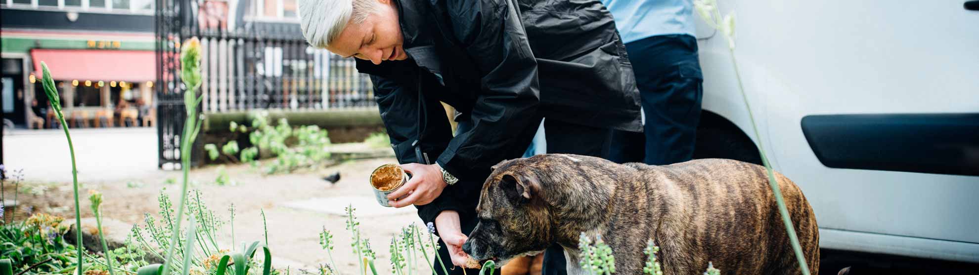 What is an Animal Welfare Officer? Mayhew