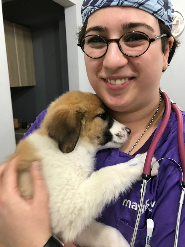 First notforprofit neutering clinic set to open in Tbilisi,