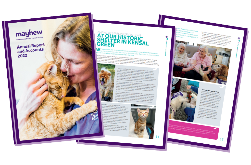 Mayhew publishes Annual Review for 2022 Mayhew